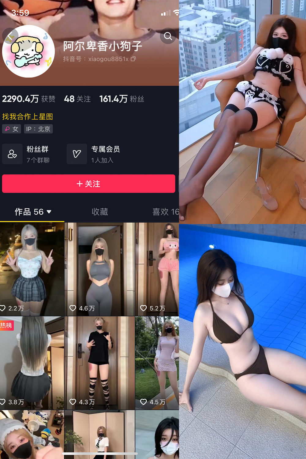 抖音 阿尔卑香小狗子 微密圈  NO.062期 【8V】最新至：2025.5.22-密资库