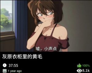 柯南同人-灰原衣柜里的黄毛-密资库